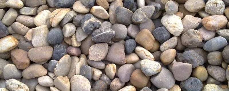 鹅卵石是什么岩石 黑色鹅卵石是什么岩石