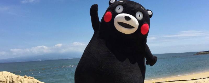 日本熊玩偶叫什么（日本的那个熊玩具叫什么）