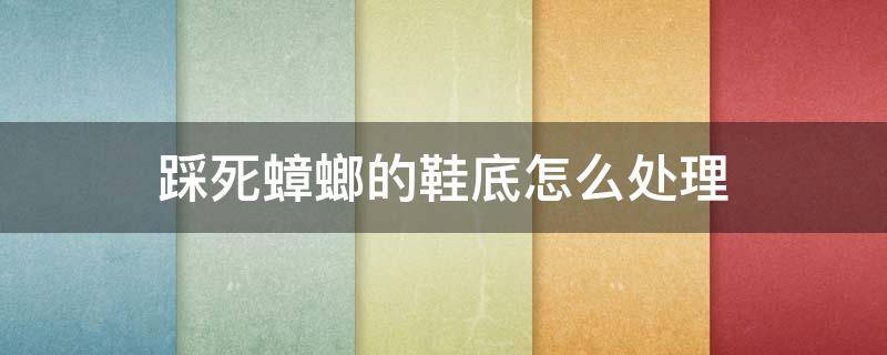 踩死蟑螂的鞋底怎么处理 踩死蟑螂会粘在鞋底吗