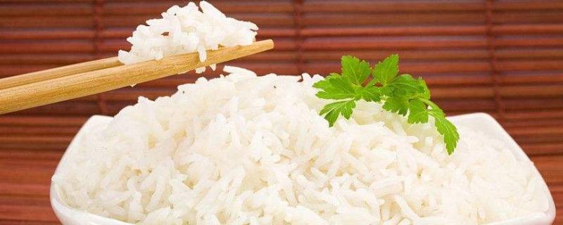 蒸米饭的比例是多少 蒸米饭的比例是多少水和米的比例