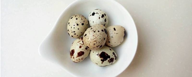 生鹌鹑蛋能放多久 生鹌鹑蛋最多可以放多久