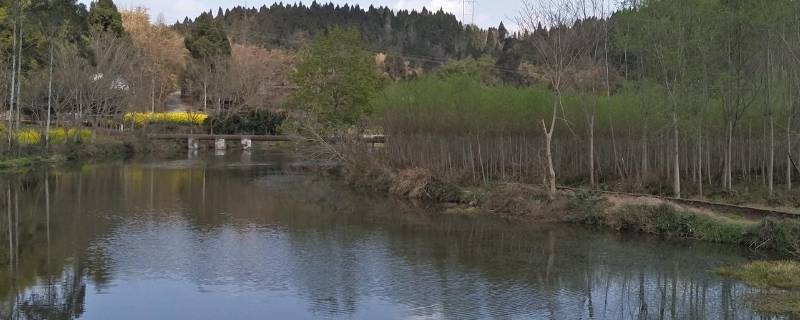 井研县景点 井研县旅游景点