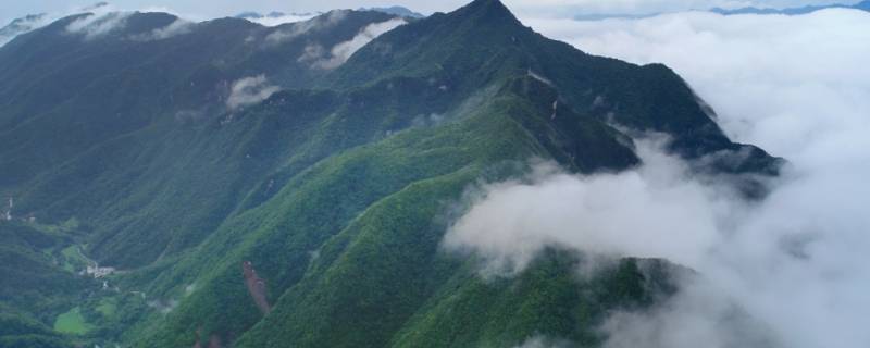 镇坪县景点（镇坪县景点介绍）