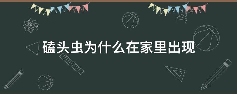 磕头虫为什么在家里出现 家里有磕头虫有什么征兆