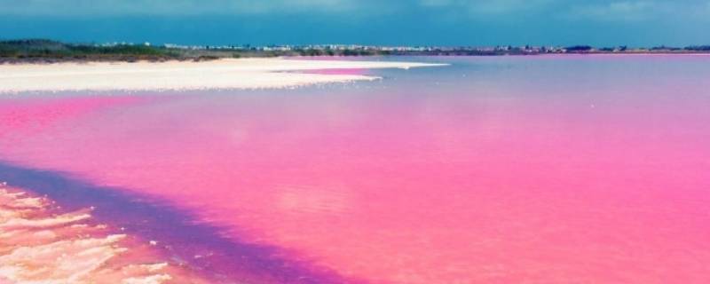 人工粉色沙滩是怎么形成的（粉色沙滩是人造的吗）