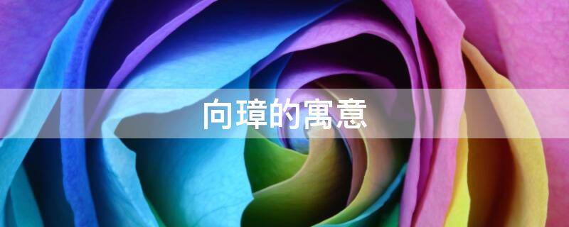 向璋的寓意（璋的寓意是什么）