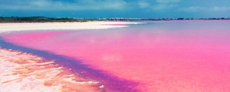 粉色沙滩是怎么形成的（粉红色的沙滩是怎样造成的?）