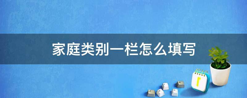 家庭类别一栏怎么填写（家庭成员一栏怎么填写）