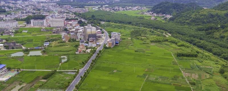 蒲田镇是哪个省 莆田市有几个县市区