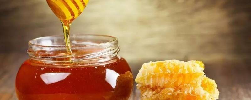 蜂蜜怎么制作出来的 蜂蜜怎么制成的