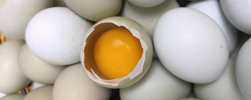 为什么鸡蛋在盐水中会浮起来（为什么鸡蛋在盐水中会浮起来原因是什么?）