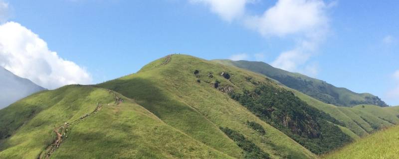 怎么理解绿水青山就是金山银山 怎么理解绿水青山就是金山银山论文