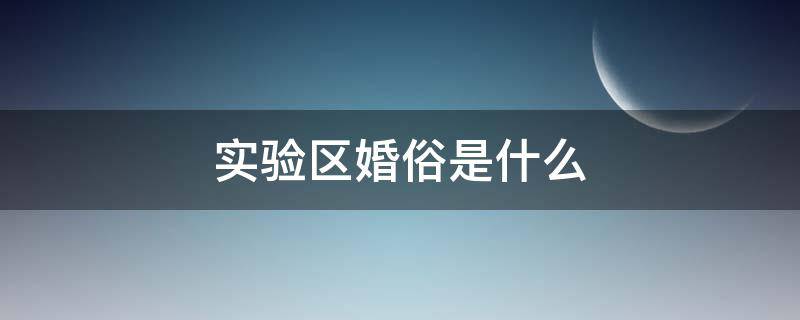 实验区婚俗是什么（什么叫婚俗改革实验区）