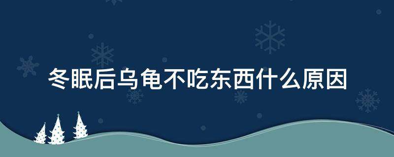 冬眠后乌龟不吃东西什么原因（乌龟冬眠完为什么不吃东西）