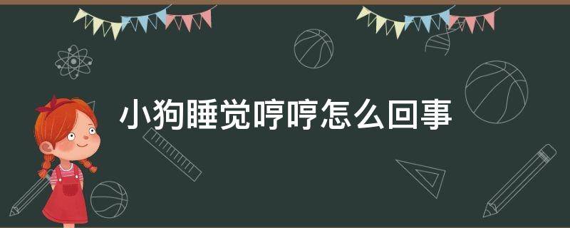 小狗睡觉哼哼怎么回事 小狗睡觉的时候一直哼