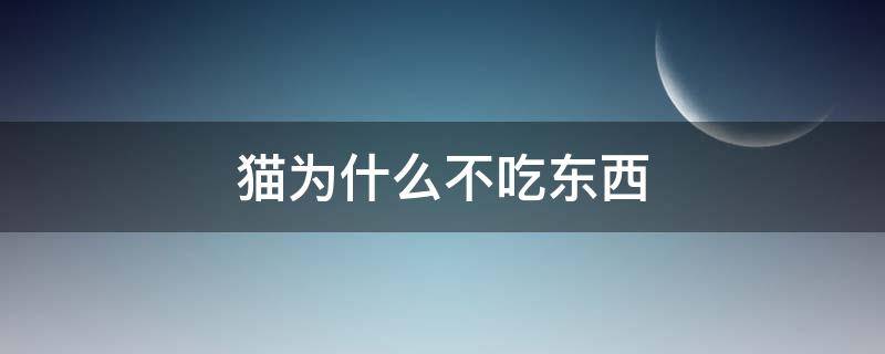 猫为什么不吃东西 猫为什么不吃东西只喝水