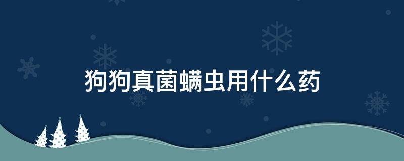 狗狗真菌螨虫用什么药（狗狗真菌感染螨虫最好的治疗方法）