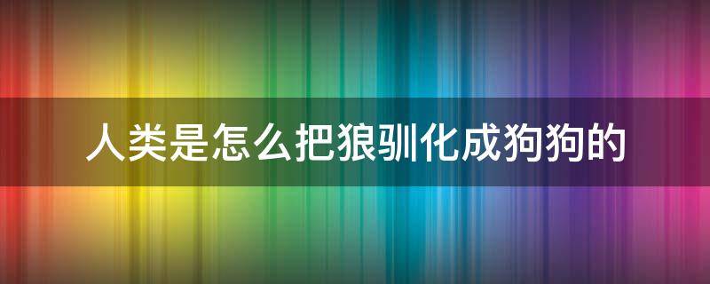 人类是怎么把狼驯化成狗狗的（人是怎么把狼驯养成狗的）