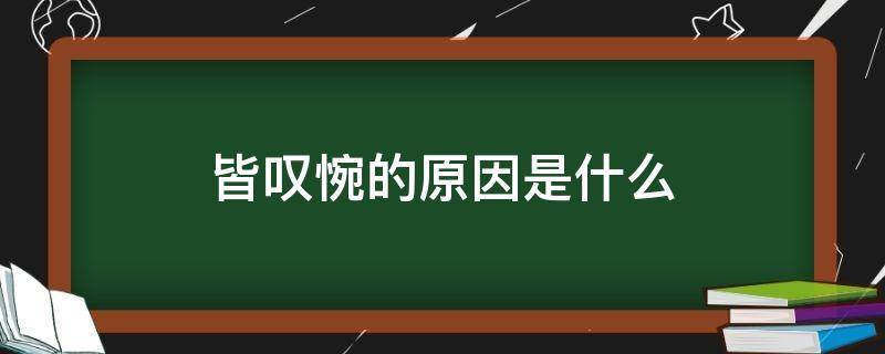 皆叹惋的原因是什么（皆叹惋的原因是什么用原文）