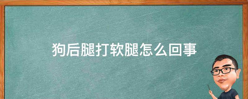 狗后腿打软腿怎么回事（狗的两条后腿打软是怎么了）