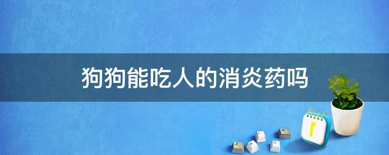 狗狗能吃人的消炎药吗 狗可以吃人的消炎药吗