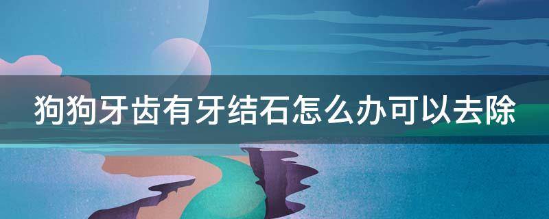 狗狗牙齿有牙结石怎么办可以去除 狗狗牙齿有牙结石怎么办可以去除嘛