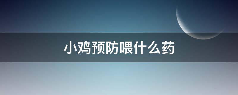 小鸡预防喂什么药（小鸡容易生病喂什么药可以预防呢）