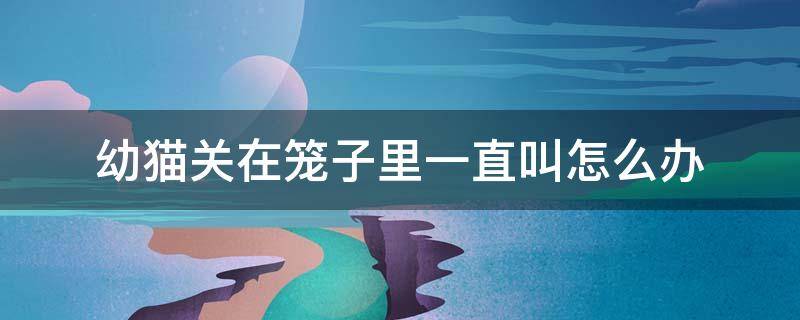 幼猫关在笼子里一直叫怎么办 幼猫关到笼子里一直叫