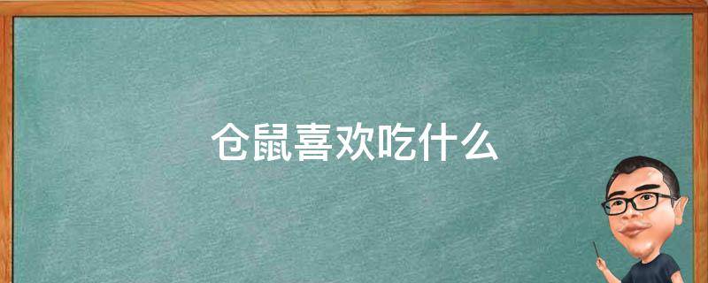 仓鼠喜欢吃什么 仓鼠喜欢吃什么零食