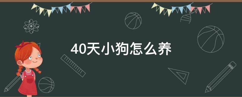 40天小狗怎么养 40天的小狗怎么养