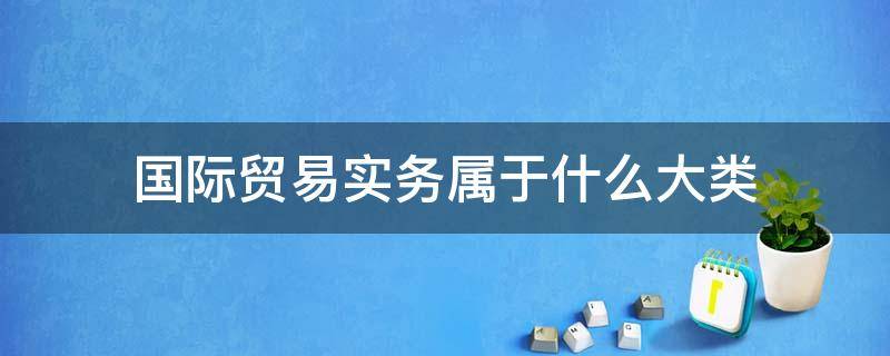 国际贸易实务属于什么大类 国际贸易实务属于什么大类书