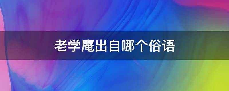 老学庵出自哪个俗语 老学庵什么意思