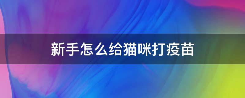 新手怎么给猫咪打疫苗（新手给猫咪打疫苗怎么打）