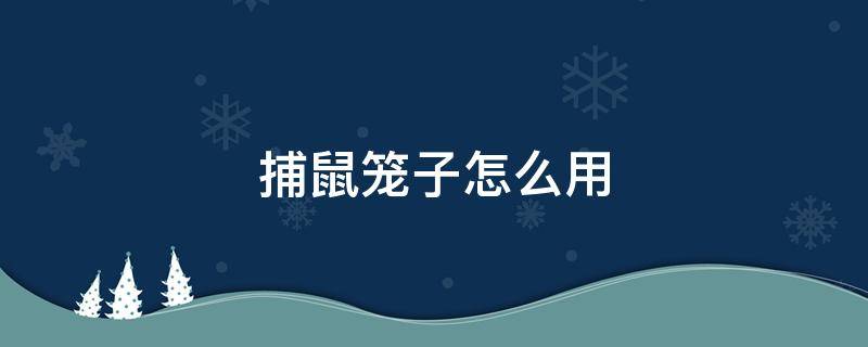 捕鼠笼子怎么用（捕鼠笼子怎么使用）