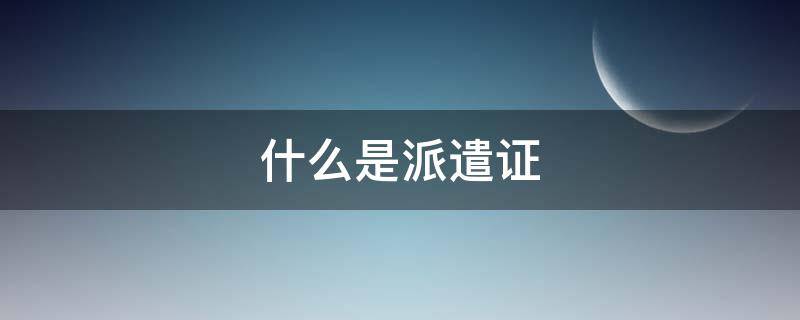 什么是派遣证（什么是派遣证,对于毕业生有什么用）