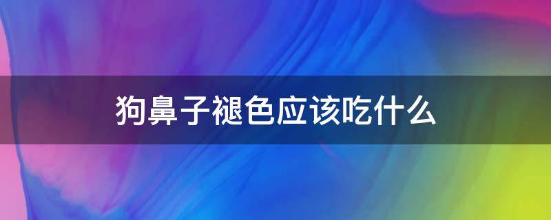 狗鼻子褪色应该吃什么 狗狗鼻子掉色吃什么好