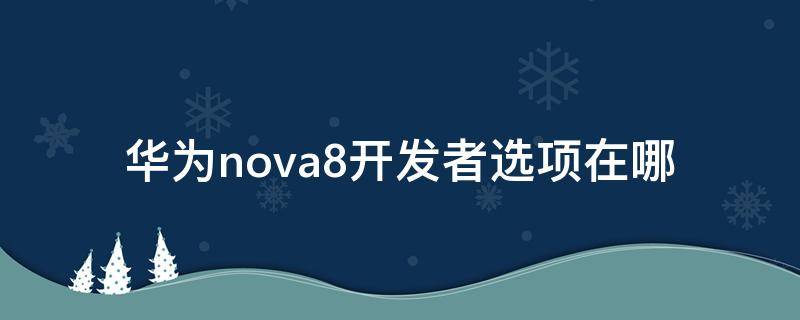 华为nova8开发者选项在哪（华为nova8开发者选项在哪里）