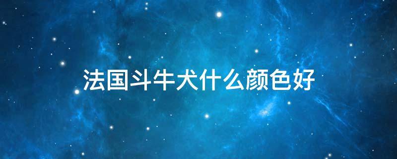 法国斗牛犬什么颜色好（法国斗牛犬什么颜色最好）