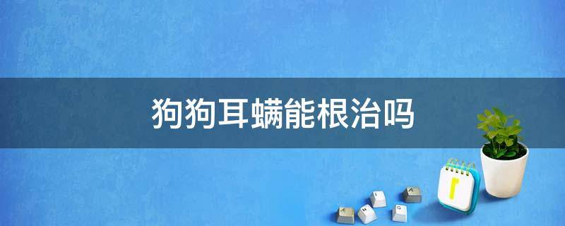 狗狗耳螨能根治吗（狗狗耳螨有什么家常的治疗方法）