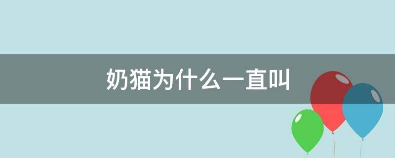 奶猫为什么一直叫（奶猫为什么一直叫不停）