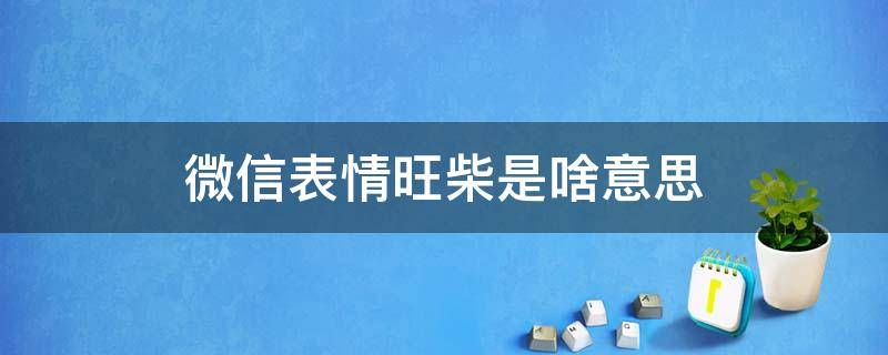 微信表情旺柴是啥意思（微信里面表情旺柴是什么意思）