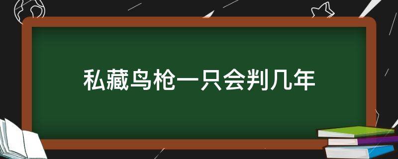 私藏鸟枪一只会判几年（私藏鸟枪会判刑吗）