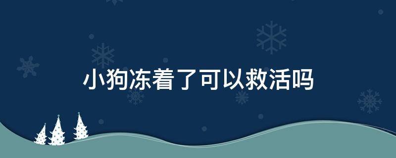 小狗冻着了可以救活吗（小狗冻着了,可以救活吗）