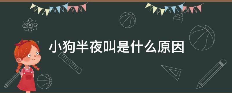 小狗半夜叫是什么原因（小狗每天半夜叫是什么原因）