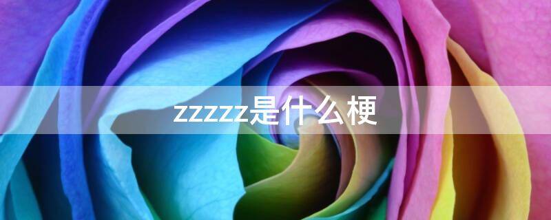 zzzzz是什么梗 dzz什么梗