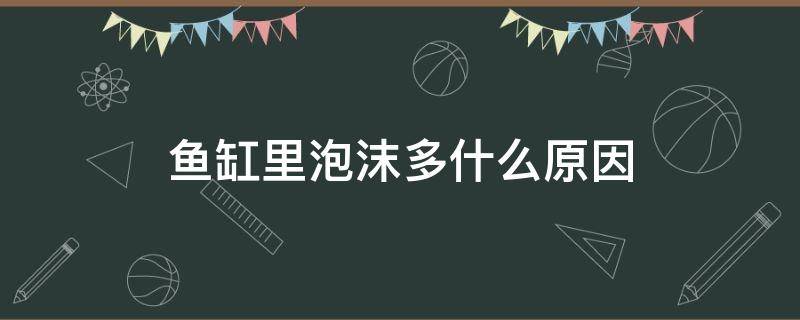 鱼缸里泡沫多什么原因 鱼缸里面泡沫多