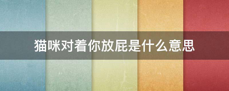 猫咪对着你放屁是什么意思 猫对着你放屁是怎么回事