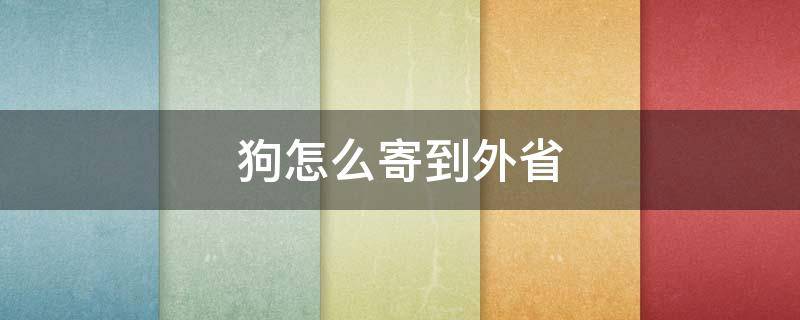 狗怎么寄到外省（狗狗怎么寄到外省）