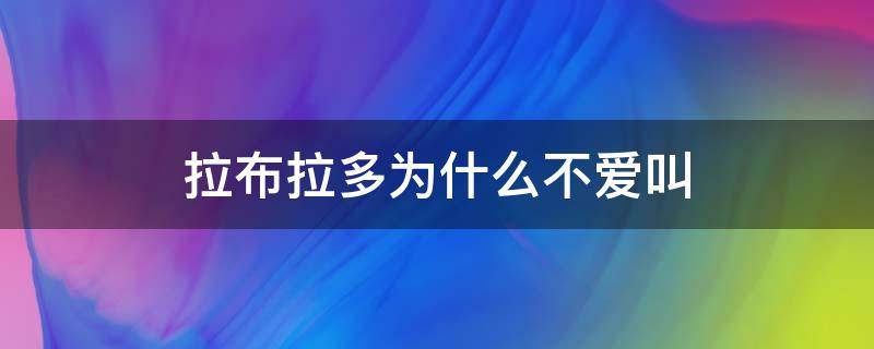 拉布拉多为什么不爱叫 拉布拉多会不会经常叫