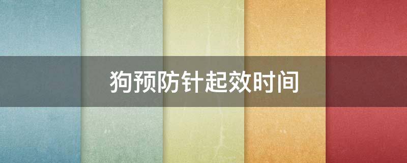 狗预防针起效时间 狗狗预防针间隔时间